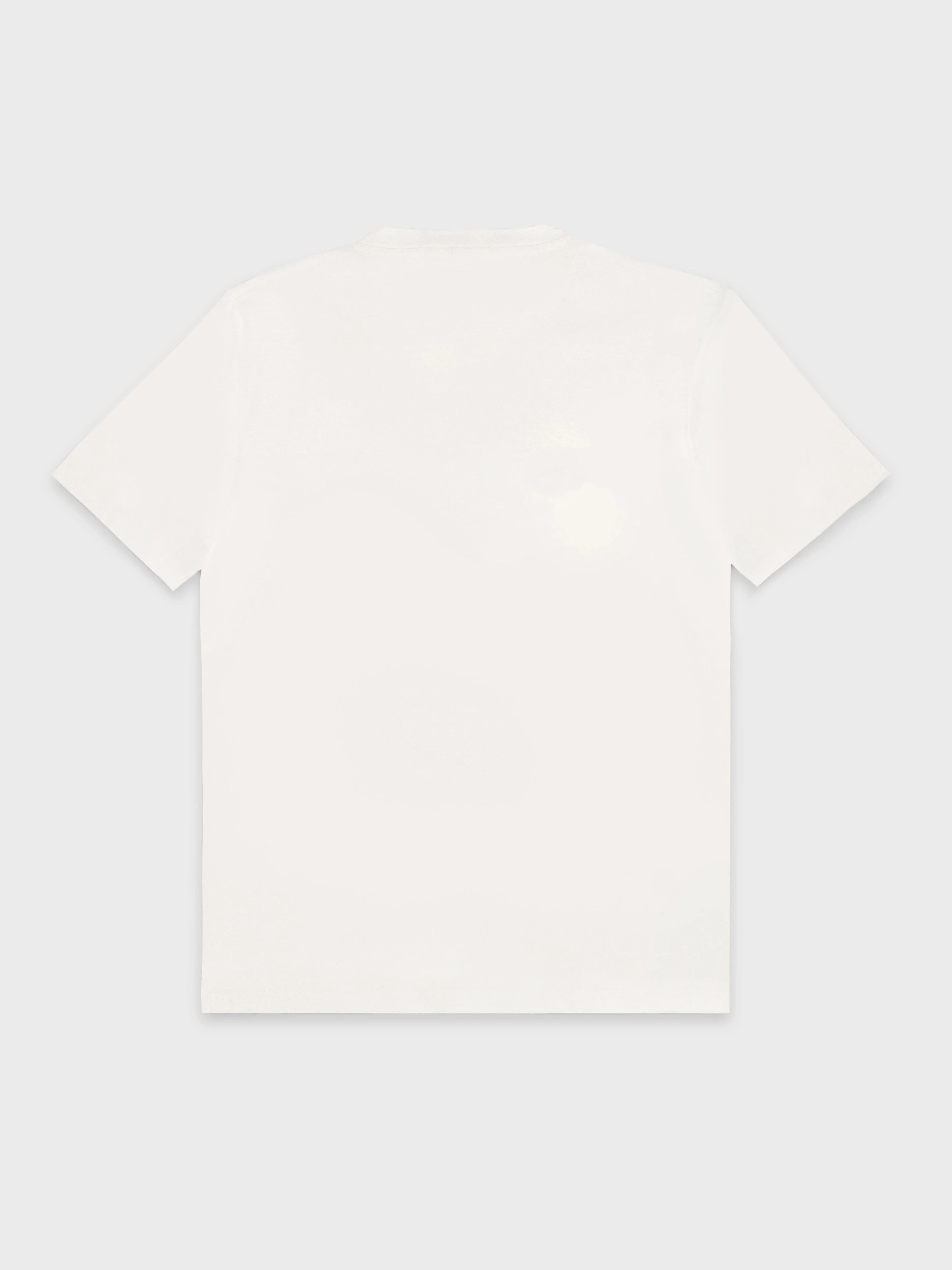 BASIC T SHIRT