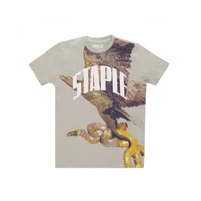 maglietta uomo montrose graphic tee SAGE