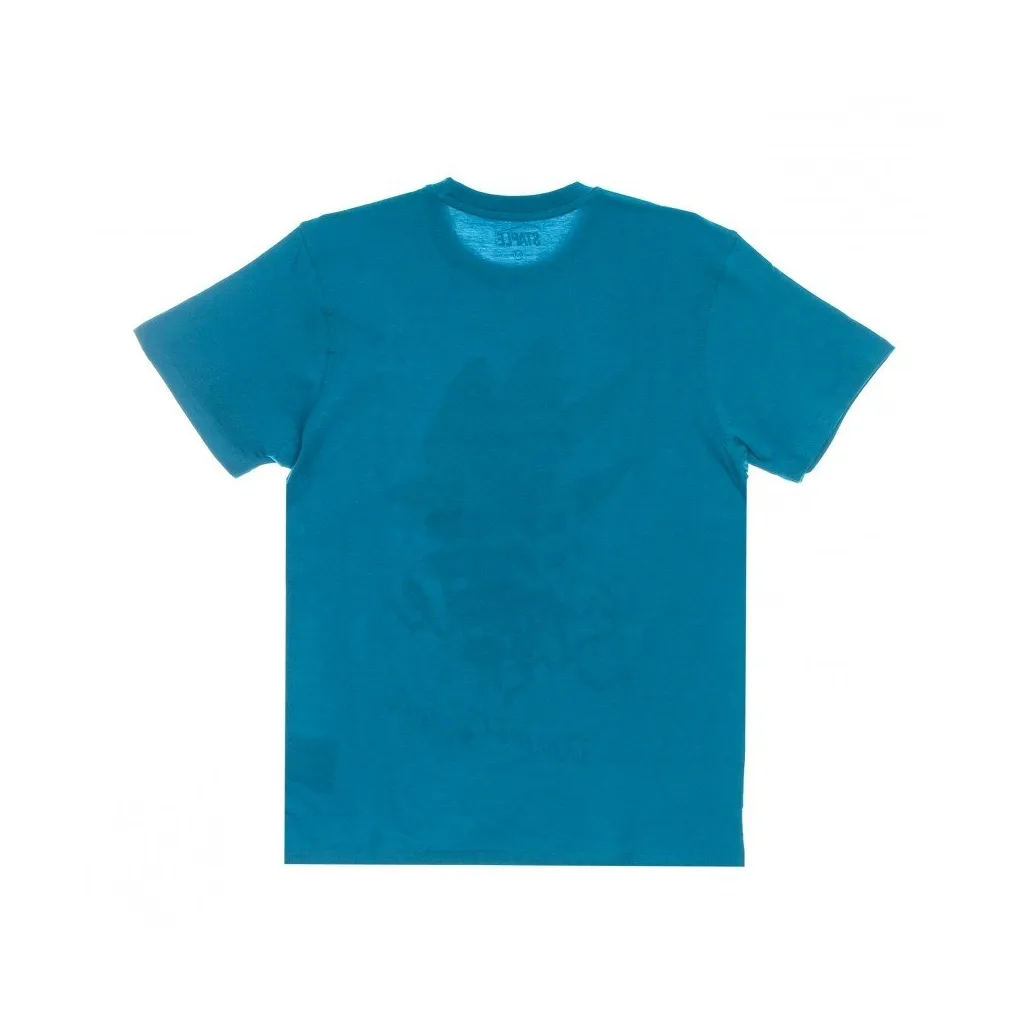 maglietta uomo pelham birds tee TEAL