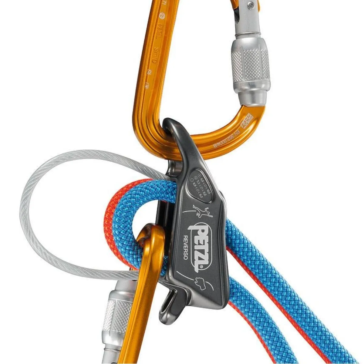 PETZL Assicuratore-Discensore REVERSO